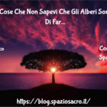 10 Strane Cose Che Non Sapevi Che Gli Alberi Sono In Grado Di Fare