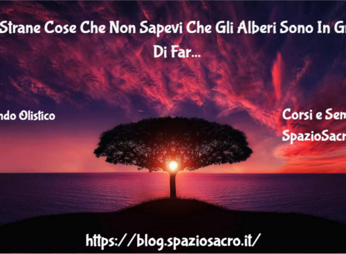 10 Strane Cose Che Non Sapevi Che Gli Alberi Sono In Grado Di Fare 93 10 Strane Cose Che Non Sapevi Che Gli Alberi Sono In Grado Di Fare