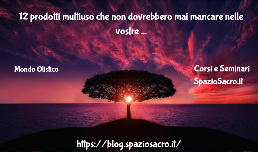 12 Prodotti Multiuso Che Non Dovrebbero Mai Mancare Nelle Vostre Case