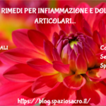 20 rimedi per infiammazione e dolori articolari 2 20 Rimedi Per Infiammazione E Dolori Articolari