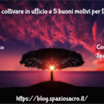 5 Piante Da Coltivare In Ufficio E 5 Buoni Motivi Per Farlo