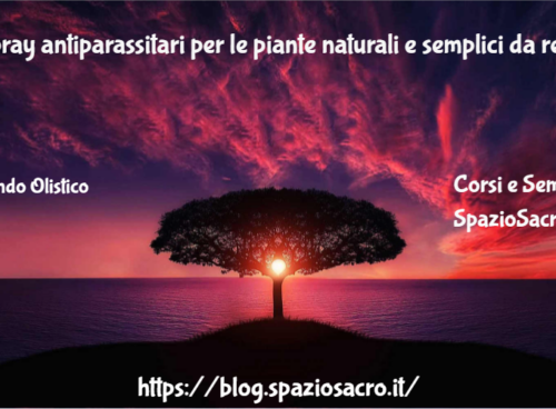 5 spray antiparassitari per le piante naturali e semplici da realizzare 68 5 Spray Antiparassitari Per Le Piante Naturali E Semplici Da Realizzare