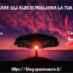 Abbracciare Gli Alberi Migliora La Tua Salute