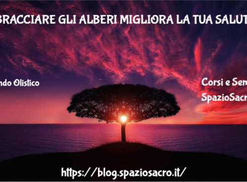 Abbracciare Gli Alberi Migliora La Tua Salute