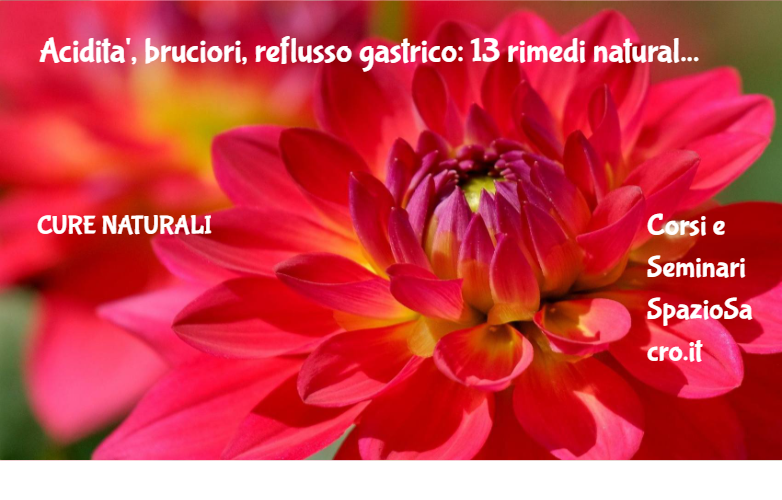 Acidita', bruciori, reflusso gastrico: 13 rimedi naturali 1 Acidita', Bruciori, Reflusso Gastrico: 13 Rimedi Naturali