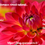 Acidita' di stomaco: rimedi naturali 3 Acidita' Di Stomaco: Rimedi Naturali