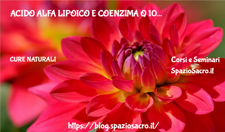 Acido Alfa Lipoico E Coenzima Q 10