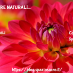 Acne : cure naturali 2 Acne : Cure Naturali