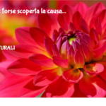 Acufeni : Forse Scoperta La Causa