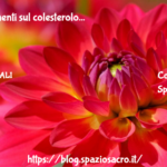 Aggiornamenti Sul Colesterolo