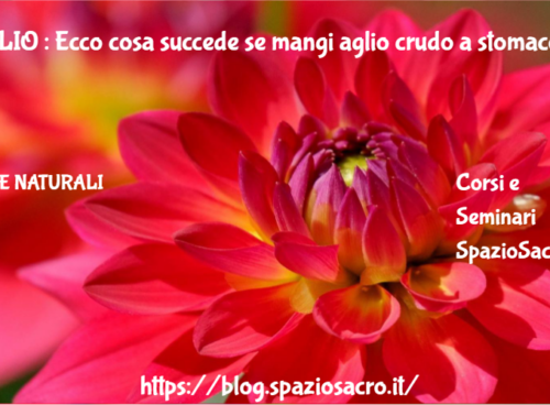 AGLIO : Ecco cosa succede se mangi aglio crudo a stomaco vuoto! 74 Aglio : Ecco Cosa Succede Se Mangi Aglio Crudo A Stomaco Vuoto!