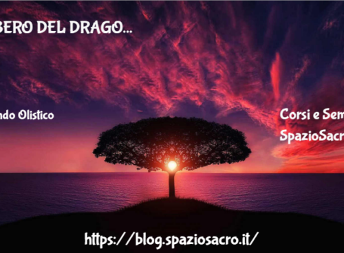 Albero Del Drago