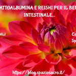Alfa Lattoalbumina E Reishi Per Il Benessere Intestinale