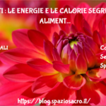 Alimenti : Le Energie E Le Calorie Segrete Degli Alimenti