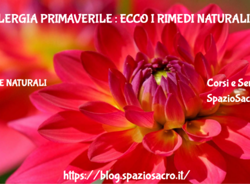 Allergia primaverile : ecco i rimedi naturali 85 Allergia Primaverile : Ecco I Rimedi Naturali
