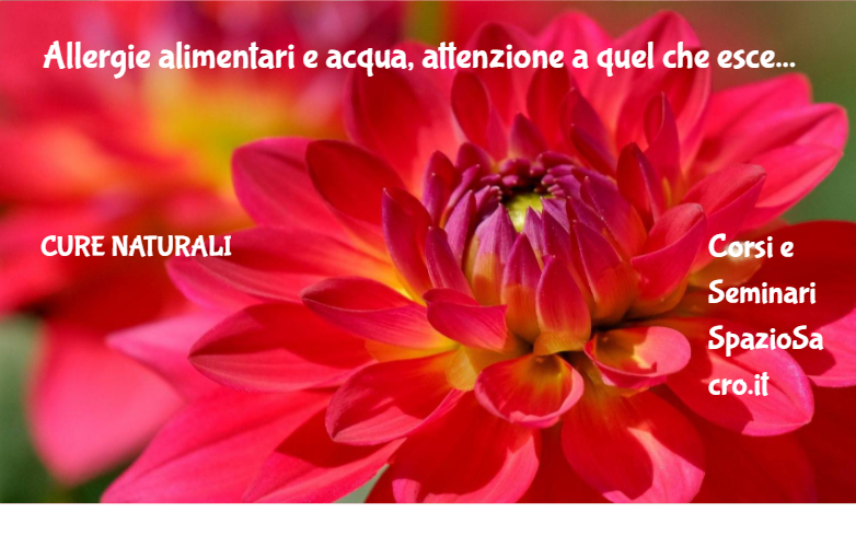 Allergie alimentari e acqua, attenzione a quel che esce dal rubinetto 1 Allergie Alimentari E Acqua, Attenzione A Quel Che Esce Dal Rubinetto