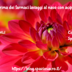 Allergie : Prima Dei Farmaci Lavaggi Al Naso Con Acqua Salata