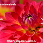 Allergie: Un Aiuto Naturale