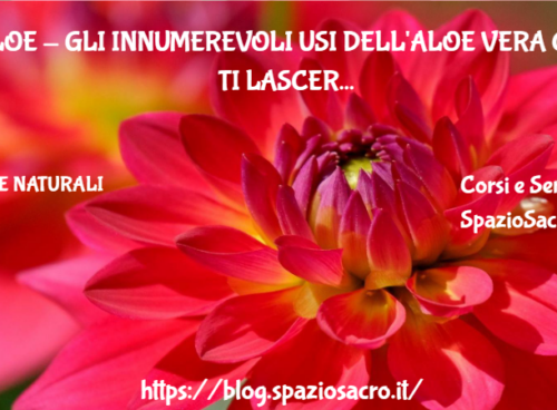 Aloe Gli Innumerevoli Usi Dell'aloe Vera Che Ti Lasceranno Senza Parole