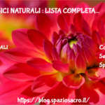 Analgesici naturali : lista completa 3 Analgesici Naturali : Lista Completa