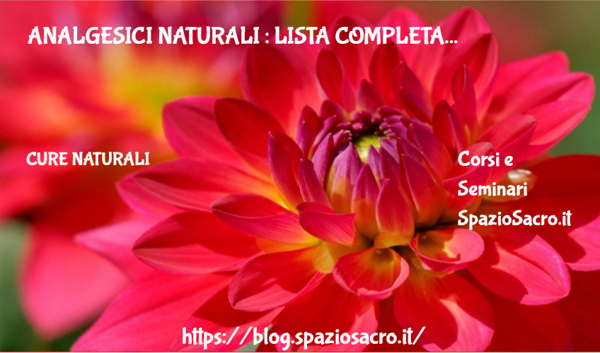 Analgesici naturali : lista completa 1 Analgesici Naturali : Lista Completa