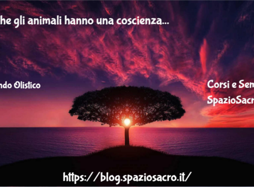 Anche Gli Animali Hanno Una Coscienza