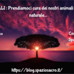 Animali : Prendiamoci Cura Dei Nostri Animali In Modo Naturale
