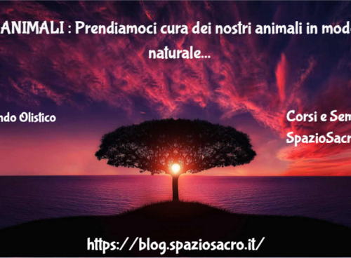 ANIMALI : Prendiamoci cura dei nostri animali in modo naturale 73 Animali : Prendiamoci Cura Dei Nostri Animali In Modo Naturale