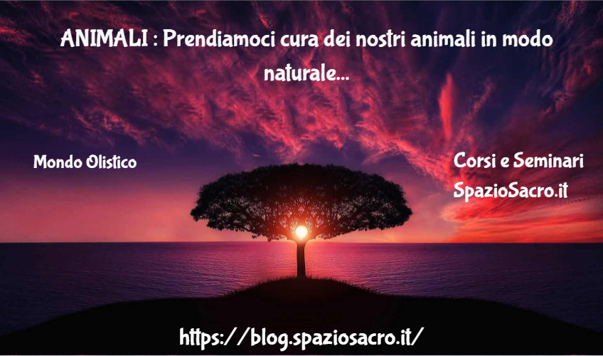 Animali : Prendiamoci Cura Dei Nostri Animali In Modo Naturale