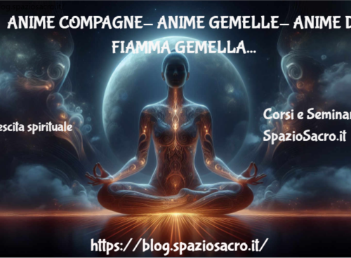Anime Compagne Anime Gemelle Anime Di Fiamma Gemella