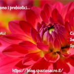Ansia Servono I Prebiotici