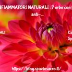 ANTI INFIAMMATORI NATURALI : 7 erbe con proprieta' anti-infiammatorie 3 Anti Infiammatori Naturali : 7 Erbe Con Proprieta' Anti Infiammatorie