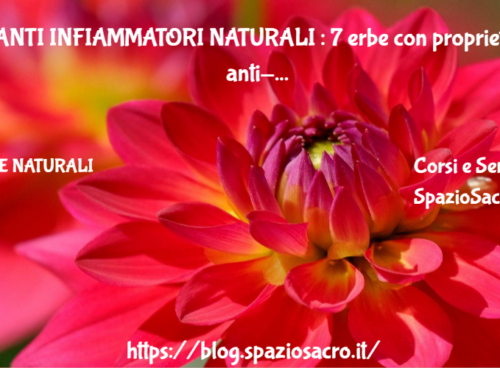 ANTI INFIAMMATORI NATURALI : 7 erbe con proprieta' anti-infiammatorie 2 Anti Infiammatori Naturali : 7 Erbe Con Proprieta' Anti Infiammatorie