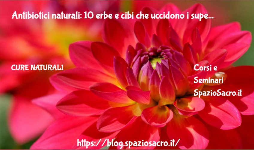 Antibiotici naturali: 10 erbe e cibi che uccidono i superbatteri 1 Antibiotici Naturali: 10 Erbe E Cibi Che Uccidono I Superbatteri