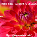 Antibiotico e molto di piu' : IL SEGRETO DELLA CIPOLLA 3 Antibiotico E Molto Di Piu' : Il Segreto Della Cipolla