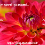 antidepressivi naturali : gli anacardi 3 Antidepressivi Naturali : Gli Anacardi