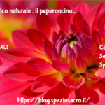 Antidolorifico Naturale : Il Peperoncino