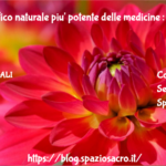 Antidolorifico Naturale Piu' Potente Delle Medicine : Lo Zenzero