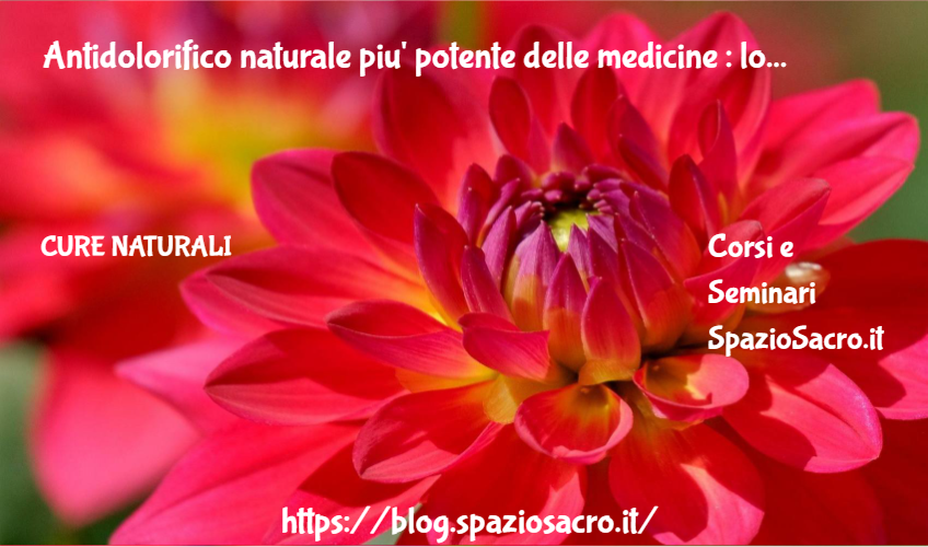 Antidolorifico Naturale Piu' Potente Delle Medicine : Lo Zenzero