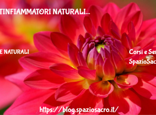 Antinfiammatori naturali 73 Antinfiammatori Naturali