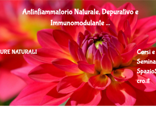 Antinfiammatorio Naturale, Depurativo e Immunomodulante : la rosa canina 40 Antinfiammatorio Naturale, Depurativo E Immunomodulante : La Rosa Canina
