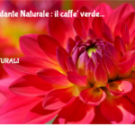 Antiossidante Naturale : Il Caffe' Verde