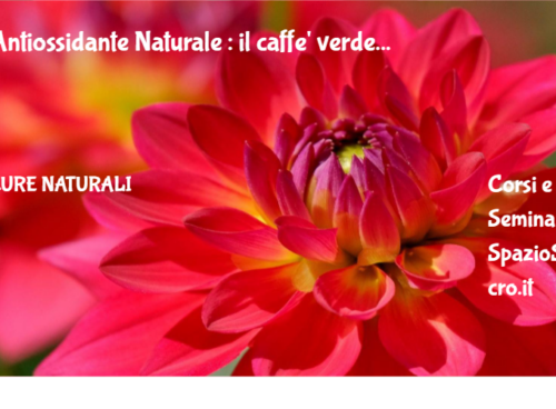 Antiossidante Naturale : il caffe' verde 48 Antiossidante Naturale : Il Caffe' Verde