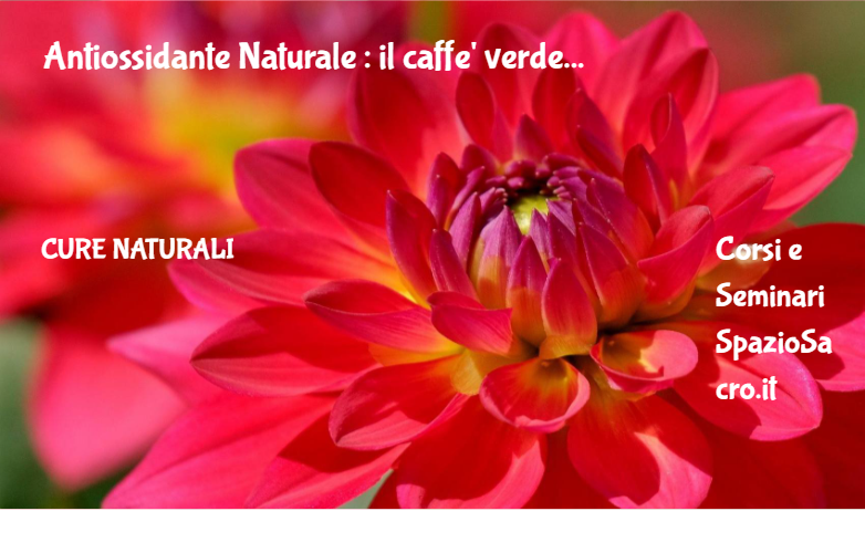 Antiossidante Naturale : il caffe' verde 1 Antiossidante Naturale : Il Caffe' Verde
