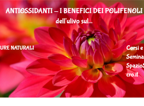 Antiossidanti I Benefici Dei Polifenoli Dell'ulivo Sulla Salute Umana