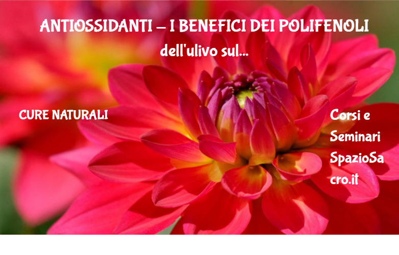 ANTIOSSIDANTI - I BENEFICI DEI POLIFENOLI dell'ulivo sulla salute umana 1 Antiossidanti I Benefici Dei Polifenoli Dell'ulivo Sulla Salute Umana
