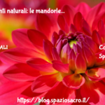 Antiossidanti naturali: le mandorle 3 Antiossidanti Naturali: Le Mandorle