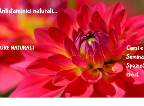 Antistaminici naturali 19 Antistaminici Naturali