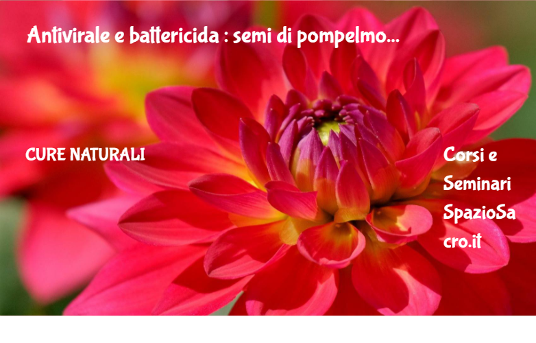 Antivirale E Battericida : Semi Di Pompelmo