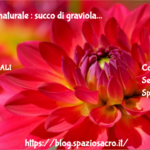Antivirale naturale : succo di graviola 3 Antivirale Naturale : Succo Di Graviola